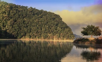 Mountain Covered With Trees Near Body of Water