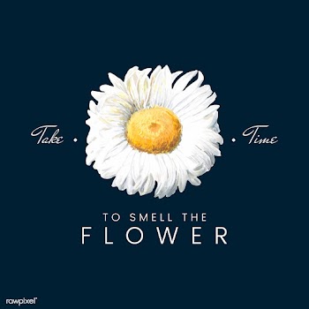 Mountain Daisy quote | Free stock vector - 544992
