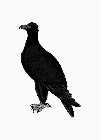 Mountain eagle in vintage style | Free stock vector - 573180