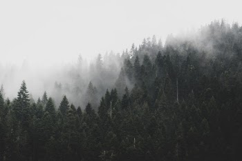 Mountain foggy day