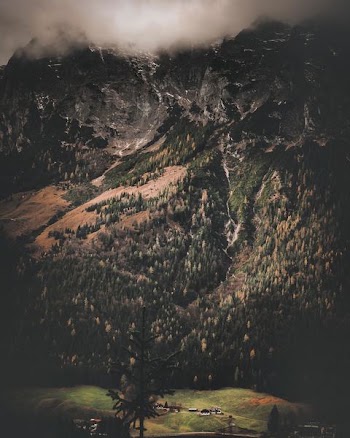 mountain full of trees