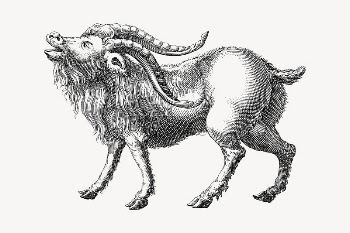 Mountain Goat collage element, drawing | Free Vector Illustration - rawpixel