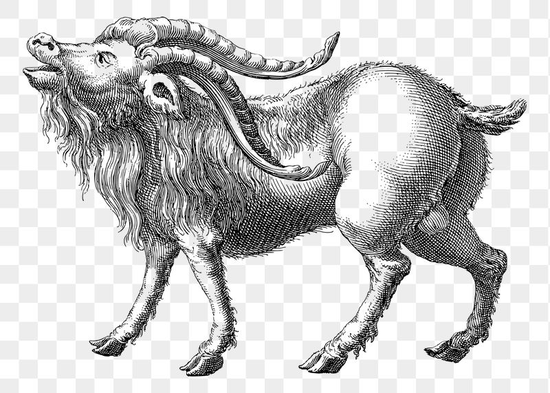 Mountain Goat png sticker illustration, | Free PNG - rawpixel