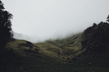 mountain hill covered with fog during daytime
