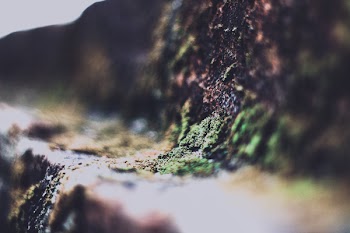 Mountain Illusion Photography