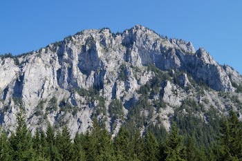Mountain Near Trees