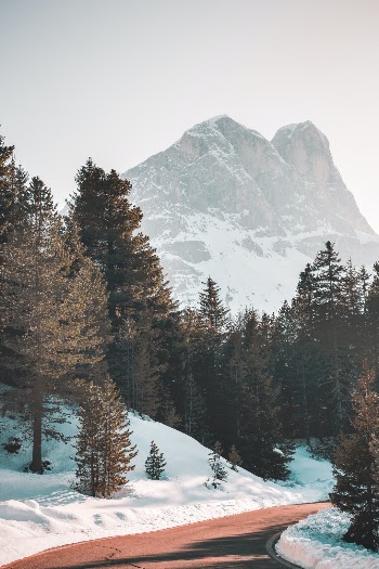 Mountain pass road towards Ju de Börz, known connection pass road between the Villnöss Valley and the little city of Brixen whit the Val Badia. All this in the World Nature Heritage Dolomites in Italy.