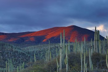 mountain peak during daytime