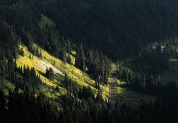 Mountain Rainier National Park, WA