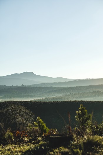 Mountain Range