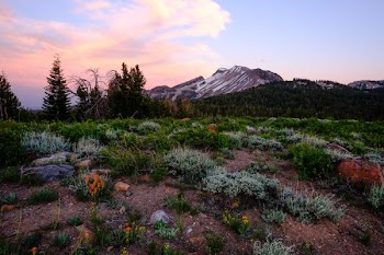 mountain range near green grass field