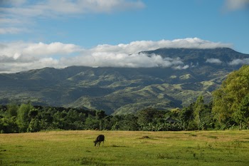 Mountain Range Under by Clouds