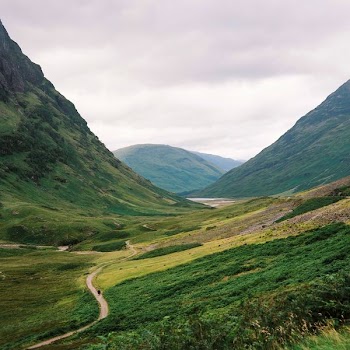 mountain range with green leaf trees