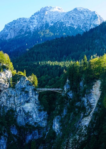 Mountain Range With Green Trees