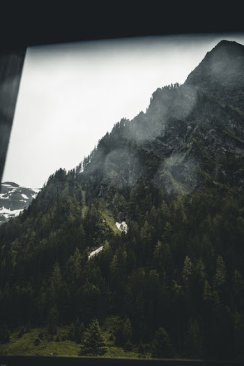 Mountain Ranges With Trees Screengrab