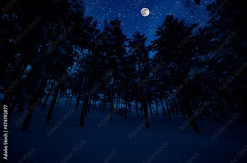 Mountain Road through the snowy forest on a full moon night. Scenic night winter landscape of dark blue sky with moon and stars