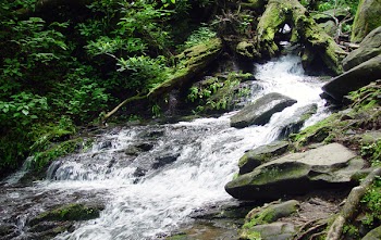 mountain_stream_004.jpg