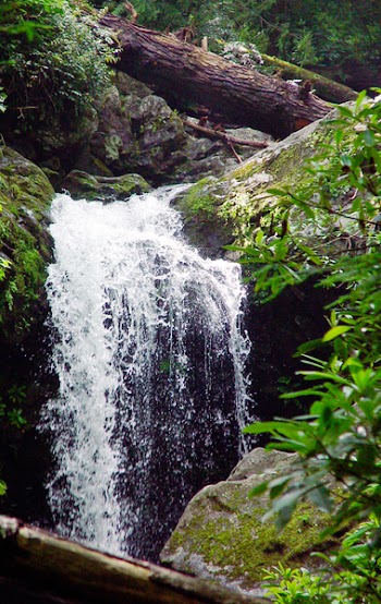 mountain_stream_007.jpg