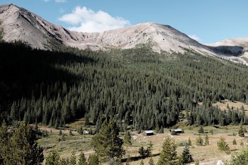 mountain surrounded by tress