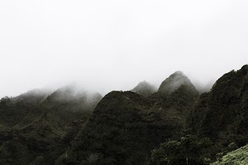 mountain surrounded with fogs