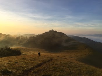 Mountain With Fog