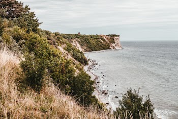 Mountain With Green Trees Next to Ocean
