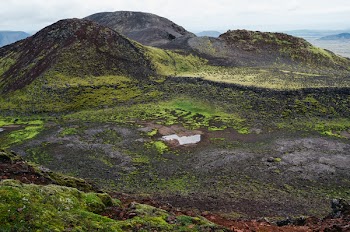Mountain With Green Trees Under White Sky