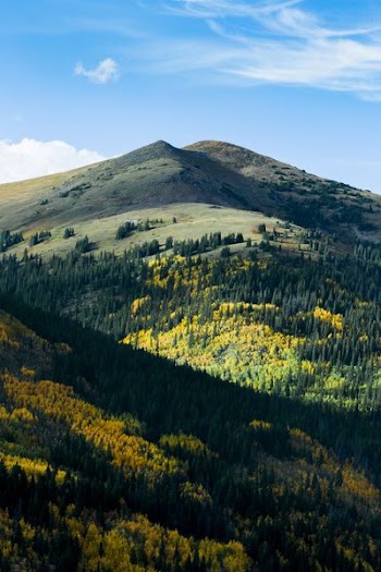 mountain with trees during daytime
