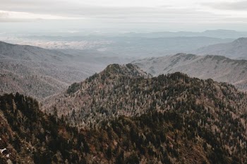 mountain with trees during daytime