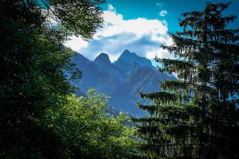 Mountains Across Green Trees