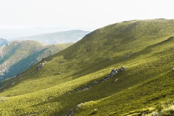 mountains and green grass