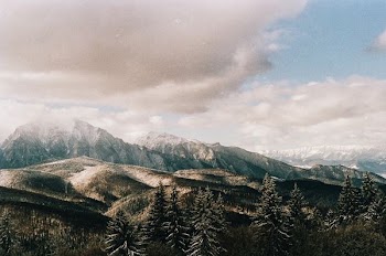 mountains and trees