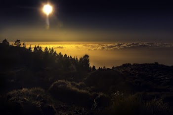 Mountains and Trees during Sunset
