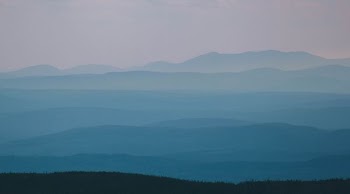 mountains covered in fog