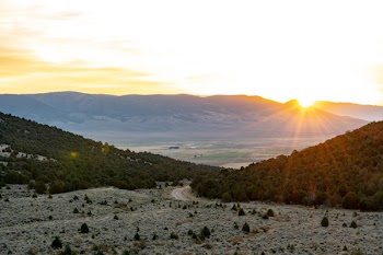 Mountains Covered With Trees during Sunrise