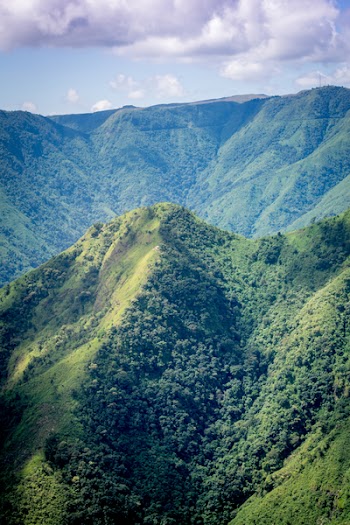 Mountains Covered With Trees Under Cloudy Sky