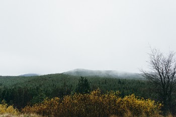 Mountains Surrounded by Fogs