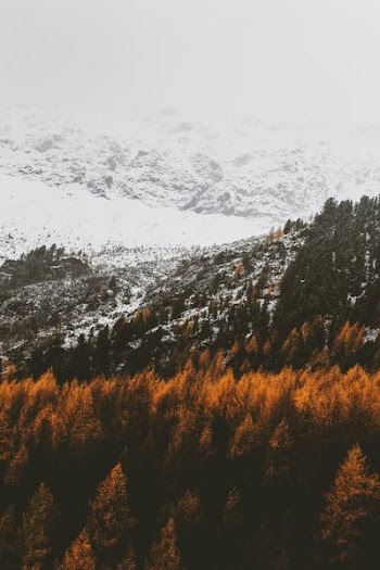 mountains with snow