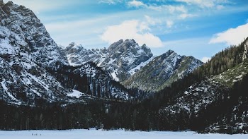 mountains with trees under sunny sky