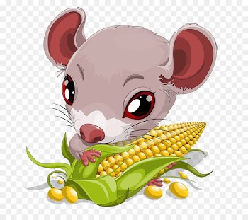 Mouse Cartoon Clip art - Rat eating corn 