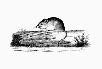 Mouse on a branch shade drawing | Free stock vector - 562473