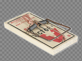 Mouse Trap PNG High-Quality Image