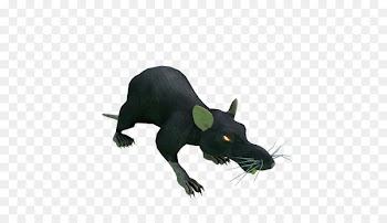 Mouse Whiskers Snout Fauna Wildlife - mouse 