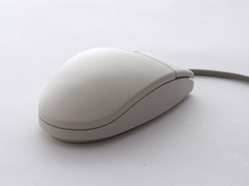 mouse0008.jpg