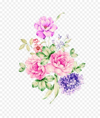 Moutan peony Centifolia roses Garden roses - Hand-painted peony material 