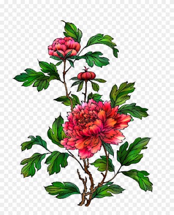 Moutan Peony Clip Art - Moutan Peony Clip Art