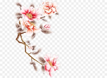 Moutan peony Download Folding screen - Flowers 