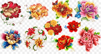 Moutan peony Flower Clip art - Peony flower material 