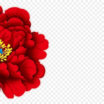 Moutan peony Flower Floral design Clip art - big red 