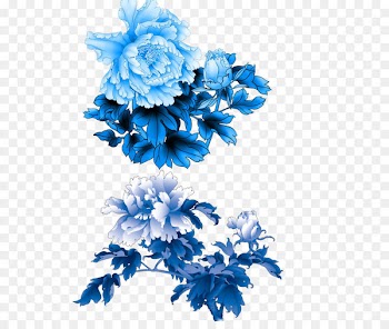 Moutan peony Flower - Peony flower material 